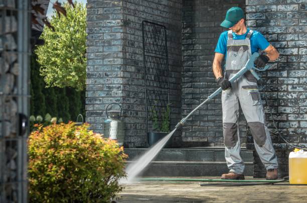 Best Residential Pressure Washing in Lexington, MN