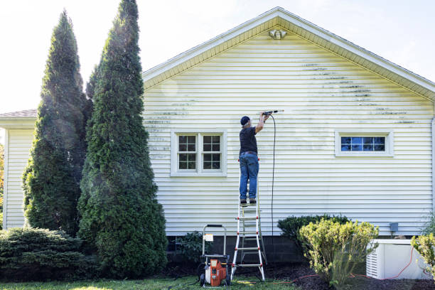 Best Roof Cleaning and Mildew Removal in Lexington, MN