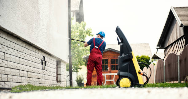 Best Driveway Cleaning and Restoration in Lexington, MN